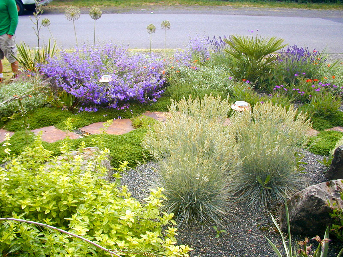 1000 Images About Drought Tolerant Landscaping Ideas On 400 x 300
