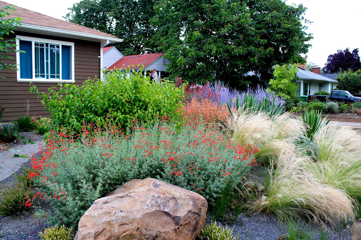 Drought Tolerant Garden with Gravel - Creative Landscapes, Inc.