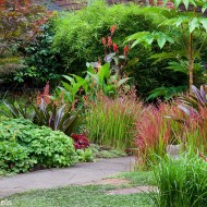 Perrenial Garden with Path