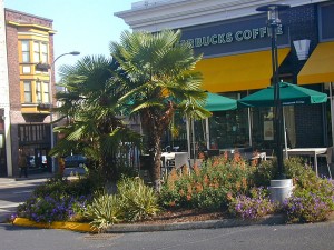 Commercial Landscape - Once a Blockbuster, Now a Starbucks
