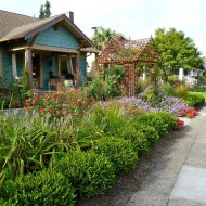 Formal Mediterranean Garden in Portland, Oregon