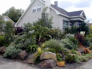 Mediterranean Rock Garden, Portland, Oregon