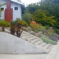 Xeriscape with Boulders, from Side