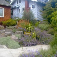 Xeriscape with Boulders and Pebbles, Designing with Color