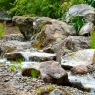 Pondless Stream with Rocks